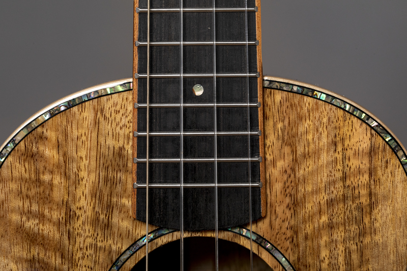 ebony fretboard